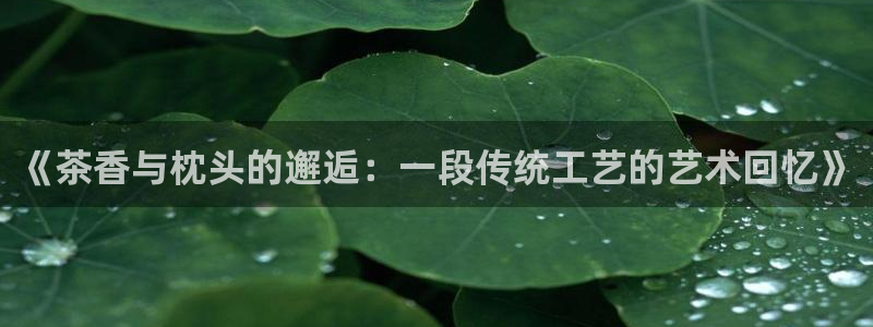 龙八国际不管吗