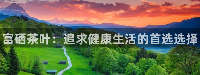 龙八国际手机登录网址