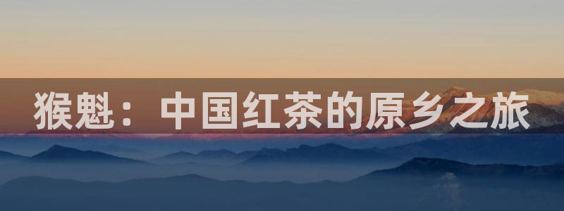 龙八国际娱乐游戏