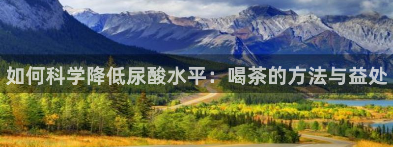 龙八国际官网手游