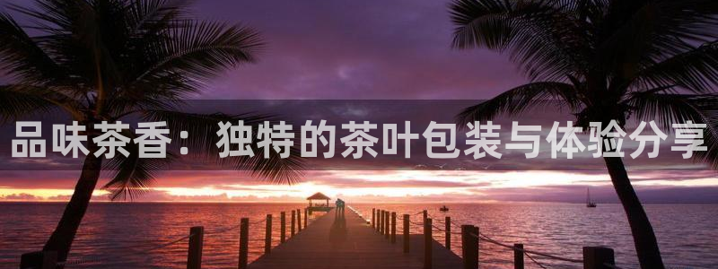 龙八国际手机客户端下载app