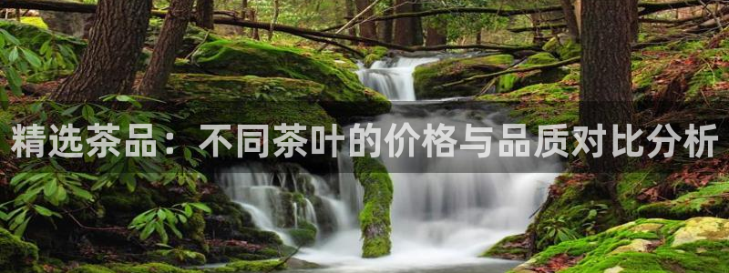 l龙八国际网页登录