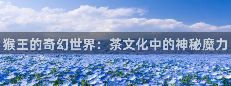 龙八国际兑换码