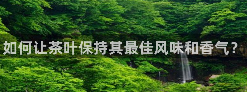 菲律宾龙八国际