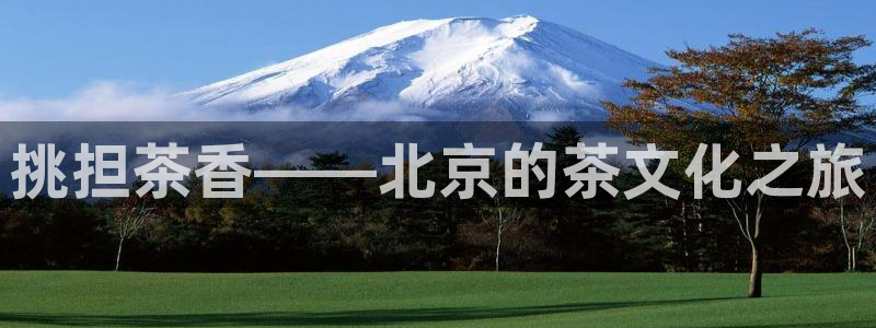 龙八国际官方网