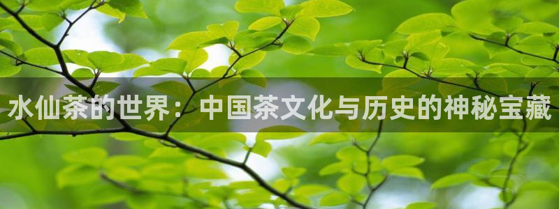 龙八国际娱乐靠谱吗