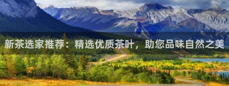 龙八国际网站多少