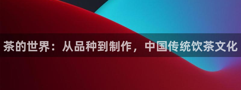 龙八国际 我的