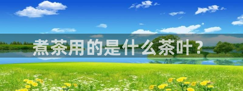 龙八国际歌曲