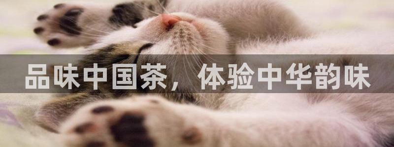 龙八国际官方网址