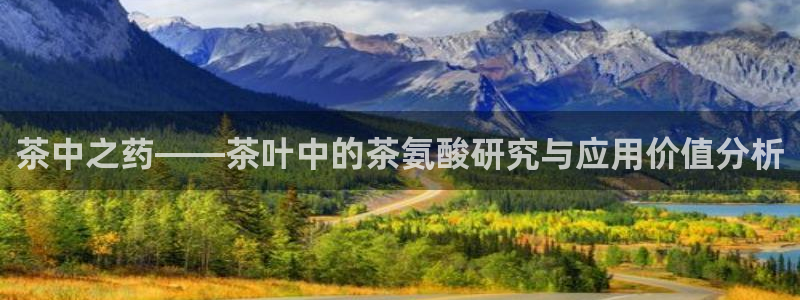 正规龙八国际