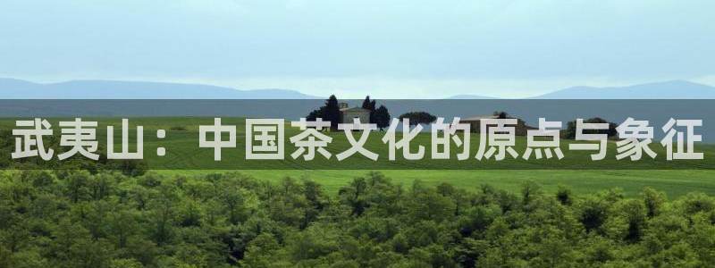 龙八国际游戏视频