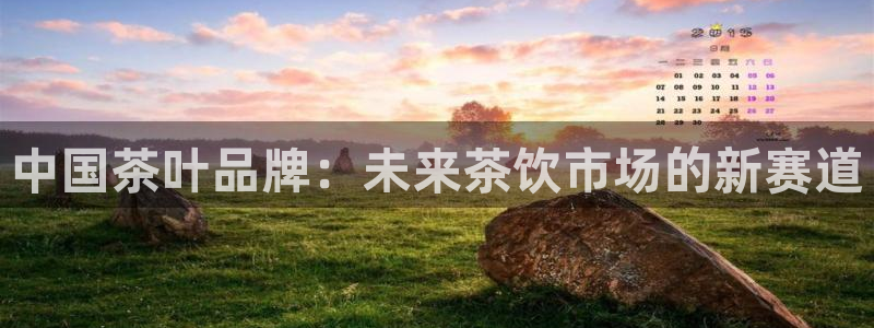 龙八国际头号玩家