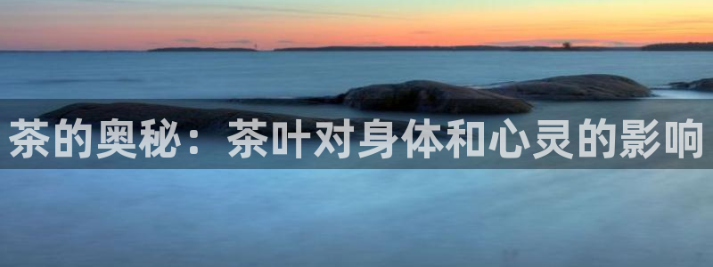 龙八国际娱乐平台网站