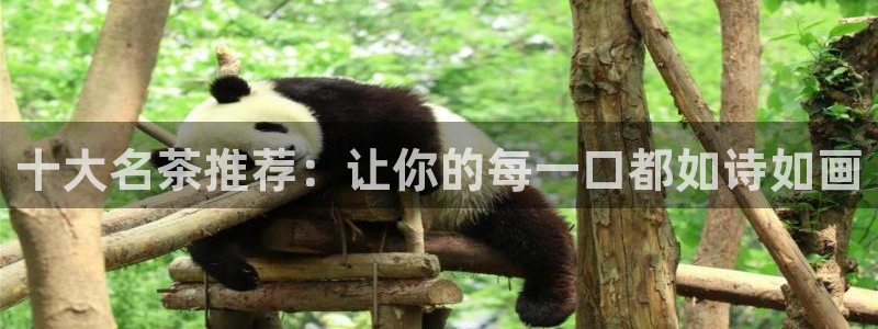 龙八国际官网手机版登录