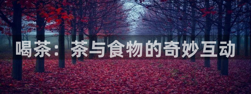 龙八国际网页long123