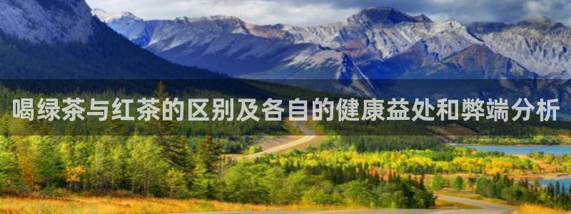 龙八国际娱乐pt