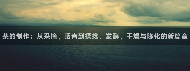龙八国际娱乐中心