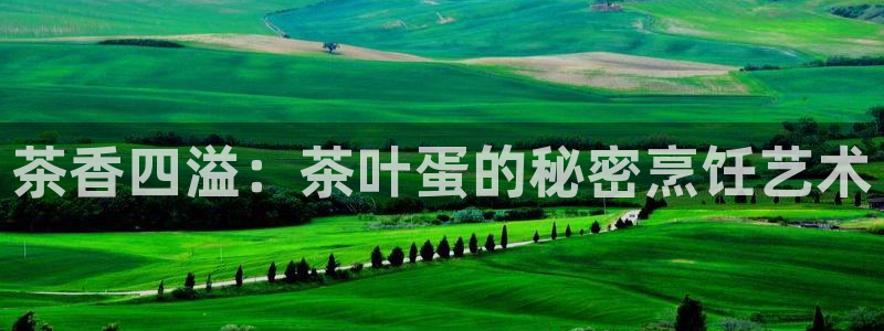 龙八国际官网客户服务