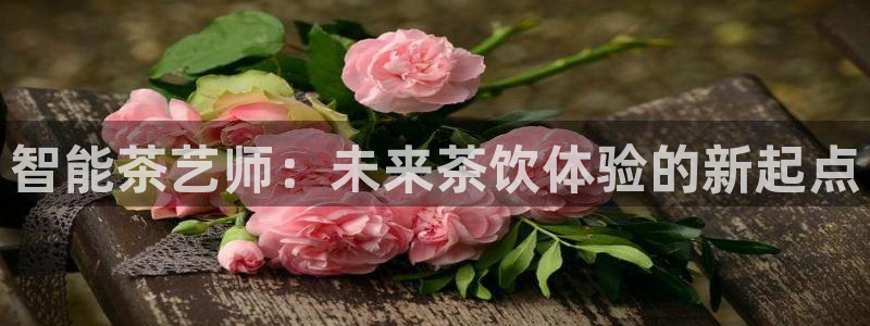 龙八国际娱乐正版