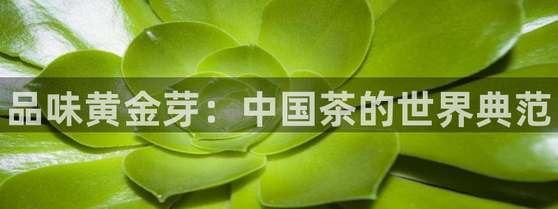 下载龙八国际