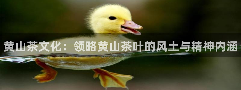 龙八国际平台首页