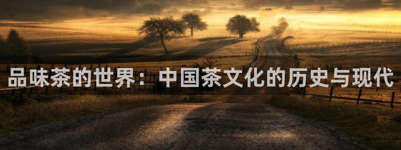 打开龙八国际