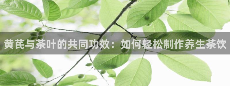 龙八国际官方网登录