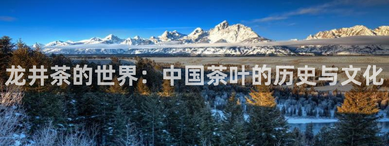 龙八国际手机登录入口