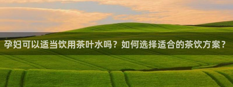龙八国际是缅甸的吗