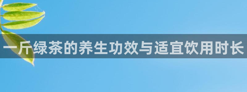 龙八国际网页版
