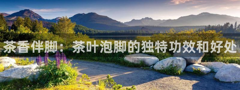龙八国际pt娱乐
