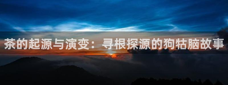 龙八国际手机版官网平台