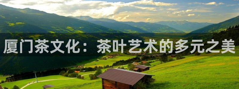 龙八国际代理