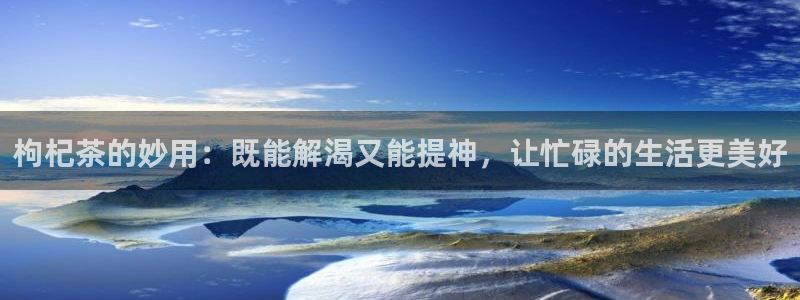 龙八国际苹果版
