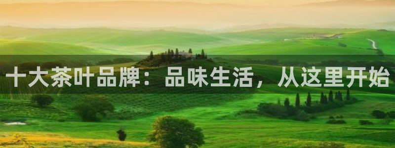 龙八国际服官网下载安装