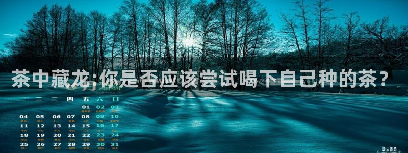 龙八国际玩什么游戏能赢