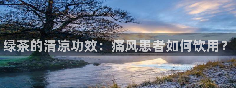 龙八国际刘佳烨