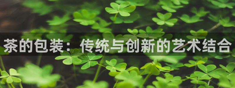 龙八国际官方网站入口