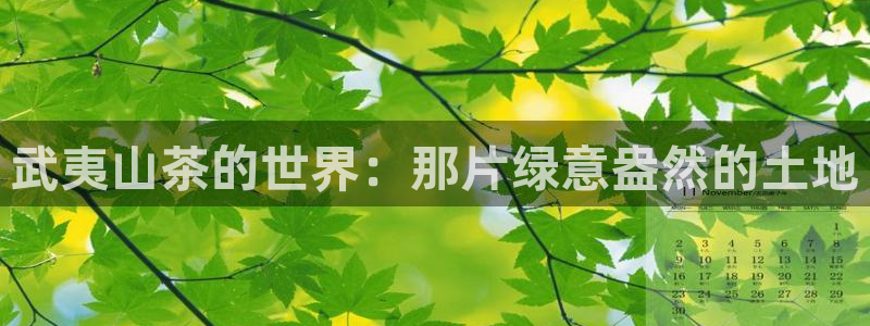 龙八国际下载链接安卓