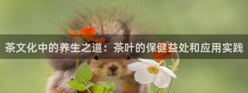 正规龙八国际娱乐