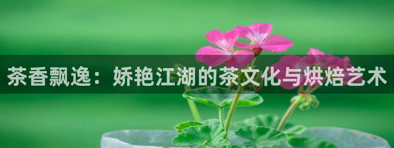龙八国际平台