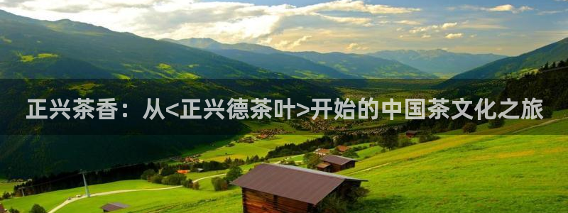 龙八国际网页long
