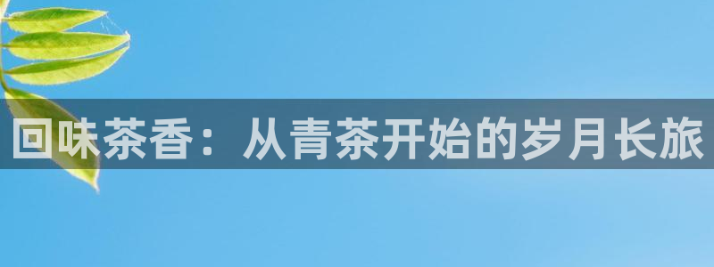 龙八国际城客运站电话