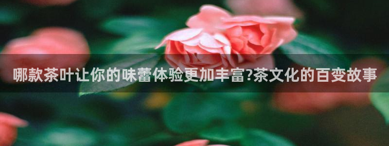 龙八国际游乐城
