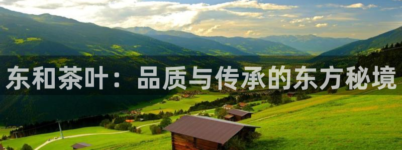 龙八国际2023