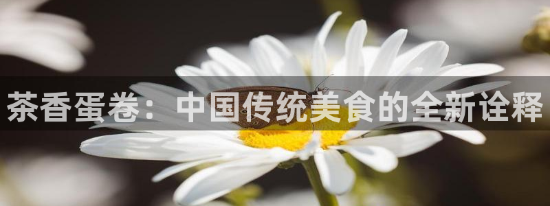 龙八国际手机下载安装
