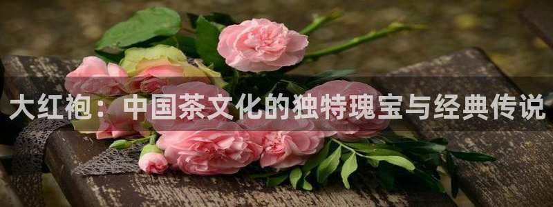 龙八国际app下载官网