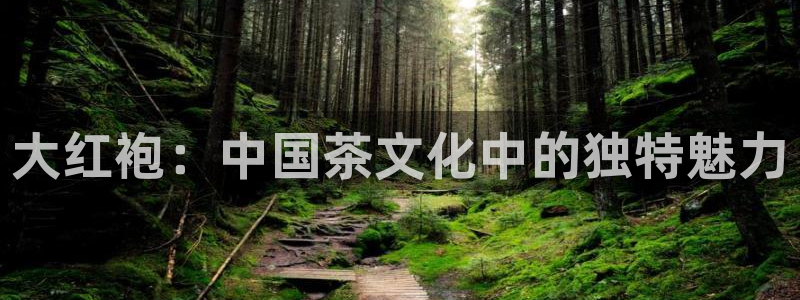 龙八国际不管吗