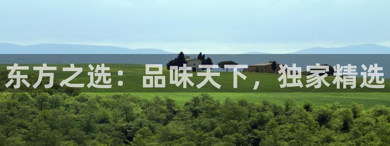 龙八国际娱乐网站
